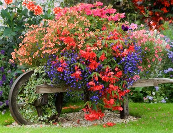 Virágos Magyarország verseny a lakosság részére - Mutassa meg virágait!