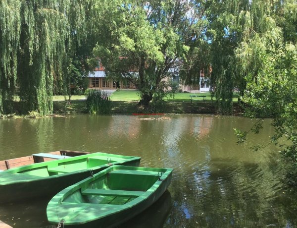 Az idén nyáron inkább vidékre, mint a tengerhez utaznának a magyarok