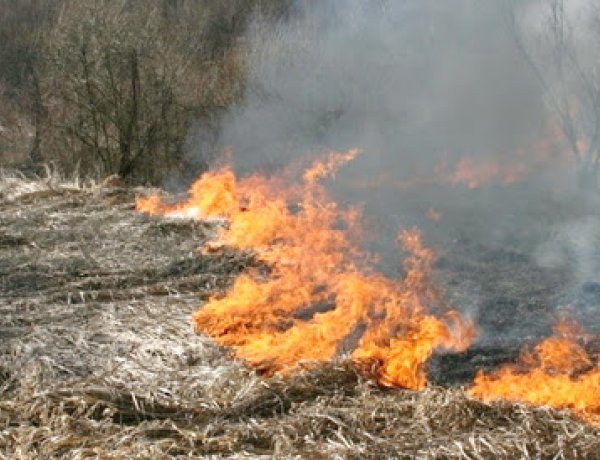 A szabadtéri tüzek megelőzhetők – Idén már hatezer riasztás érkezett