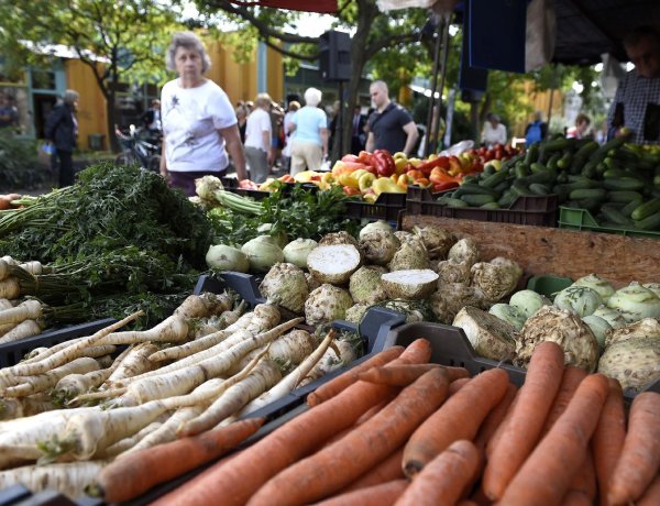 Milliárdos pályázat nyílt a hazai termelők támogatására      
