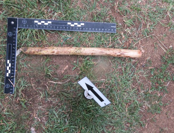 Erőszakkal elvitte és fogva tartotta a nyírmihálydi nőt – Elfogták a rendőrök