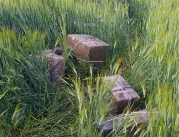 Elfogták a kölcsei rendőrök a csempészeket – Nyolcmilliónyi dohányárut foglaltak le