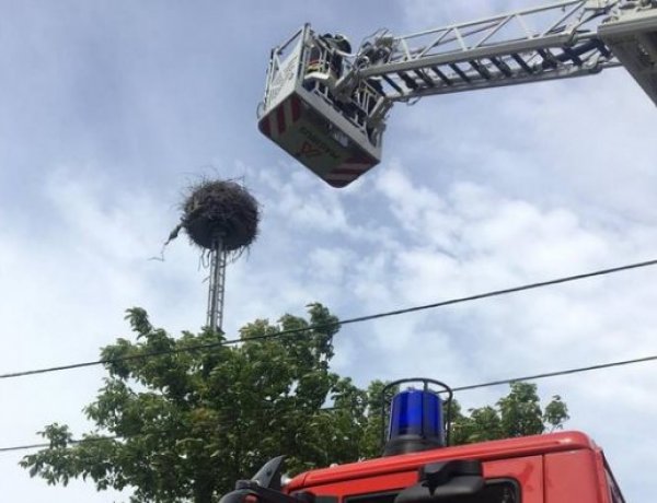 Magukra maradt kisgólyákat mentettek a nyíregyházi és újfehértói tűzoltók 