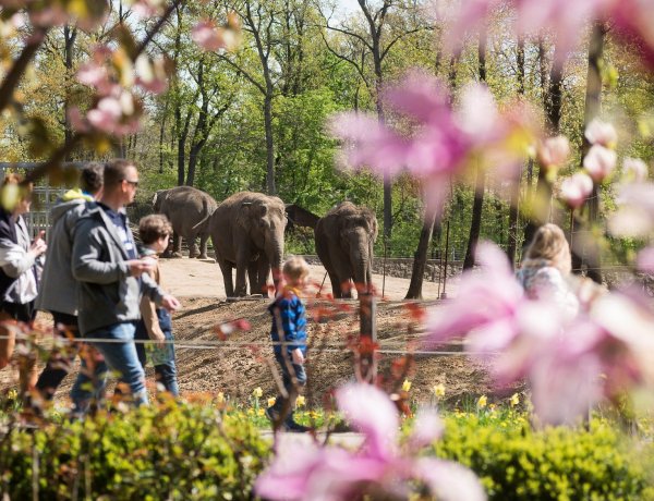 Gyermeknapi programok a hétvégére! Megannyi élmény várhat a kicsikre Nyíregyházán is!