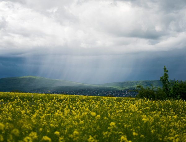 Eső és napsütés váltják egymást – Ilyen lesz a pénteki időjárás