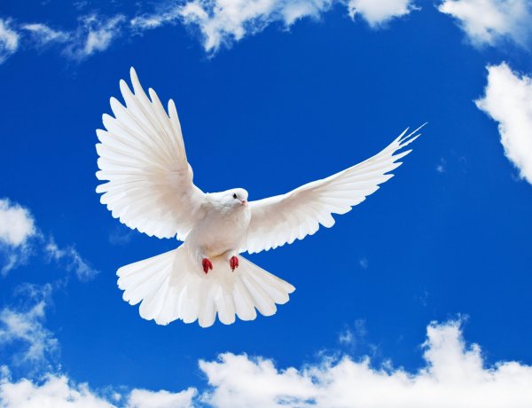 Pünkösd van! A keresztény világ a Szentlélek eljövetelét ünnepli!