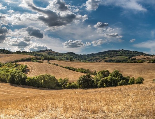 Országos Meteorológiai Szolgálat: változékony idővel köszönt be a meteorológiai nyár