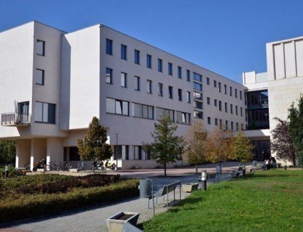 A Nyíregyházi Egyetem belső ellenőrzési vezető beosztás ellátására pályázatot hirdet