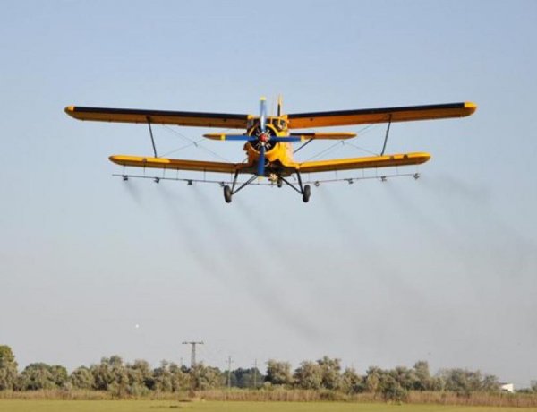 Szúnyoglárva-gyérítés fog zajlani Nyíregyháza város közigazgatási területén