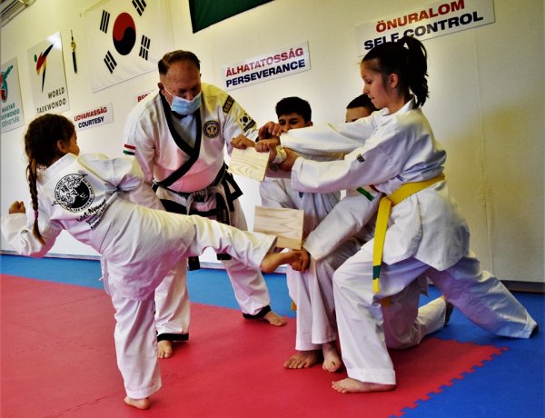 Nyílt  taekwondo edzés - A Bujtosi Városligetben bemutatót tartanak