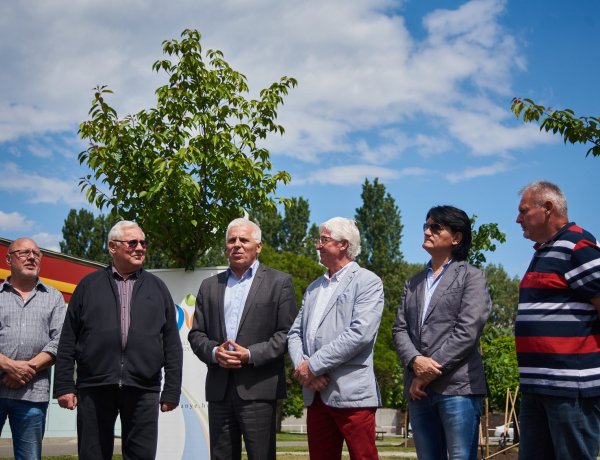 A Vállalkozók Nyíregyházáért Egyesület felajánlásával folytatódik a fásítási program