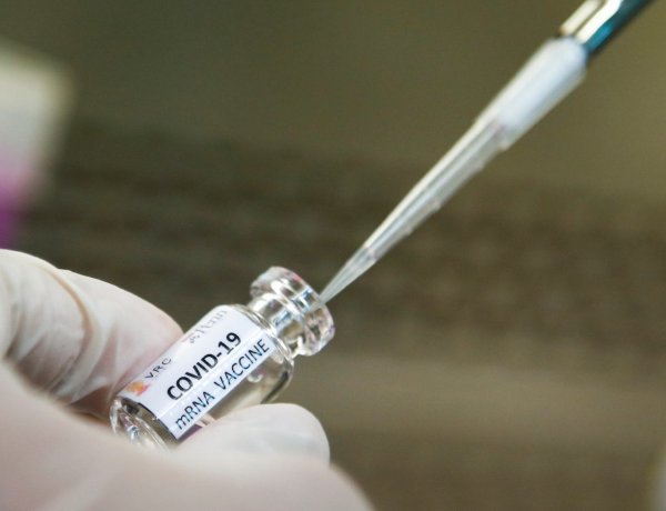 Közösen fejlesztenek koronavírus elleni vakcinát a PTE kutatói egy osztrák céggel