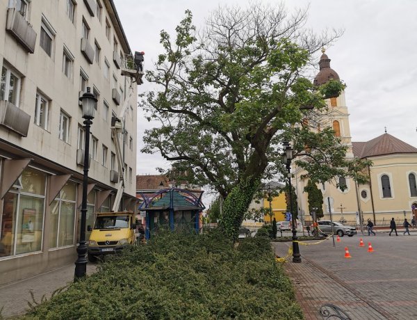 Gallyazási munkálatok a Posta előtt - A gyalogosforgalom korlátozott