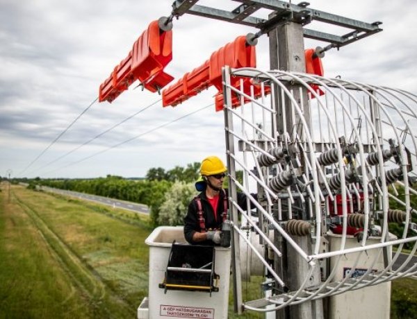 Magyar fejlesztésű eszközzel védik a madarakat az áramütéstől