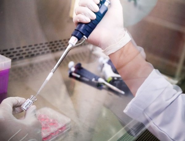 Jelentősen csökken az aktív fertőzöttek száma, újabb határ nyílik meg