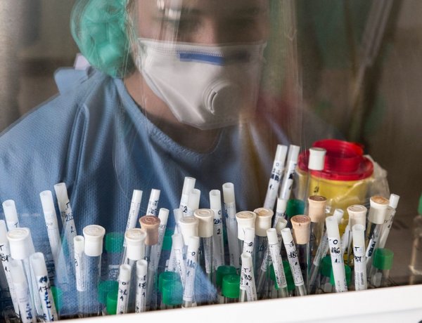 A járvány megnyugvó szakaszában is minták ezreit vizsgálják 