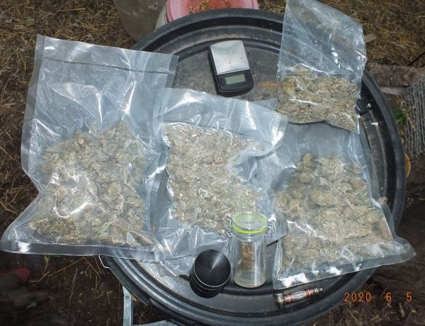 Friss! Kábítószerrel kereskedett, a nyíregyházi nyomozók elfogták