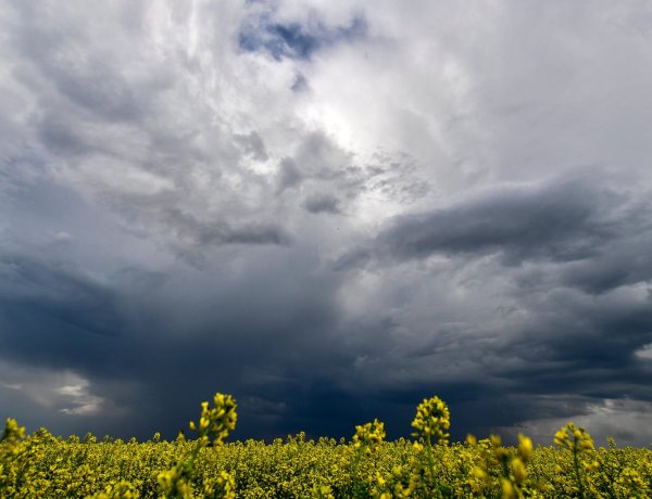 Országos Meteorológiai Szolgálat: zivatarokkal tarkított idő várható