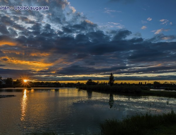 Ezek a fotók nyertek a NYÍRVV Nonprofit Kft. Bujtosi Városliget Fotópályázatán