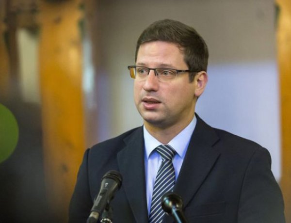 Gulyás: válságban előny az egységes egészségügyi rendszer   