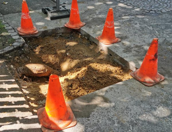 Beszakadt a járda,  egy fa vastag gyökere akadályozza a helyreállítást a Sóstói úton