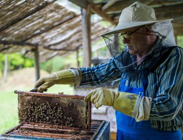 Idén erősödhet az ökoturizmus – A magyarok többsége belföldi nyaralást tervez