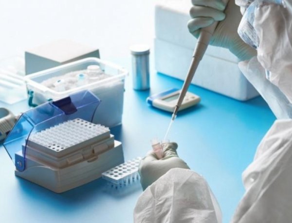 Elkészült az első hazai fejlesztésű Covid-teszt – Pontosabb az eddigi gyorsteszteknél