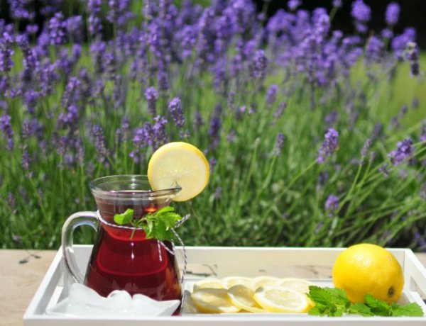 Mennyei szörp levendulából! Íme egy hamisítatlan nyári recept!