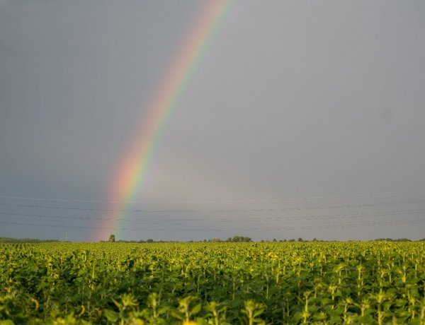 Országszerte zivatarok várhatók csütörtökön, az UV-sugárzás is extrém lesz