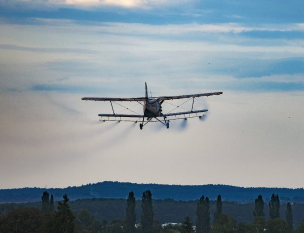 Katasztrófavédelem: több mint százezer hektáron irtják a héten a szúnyogokat