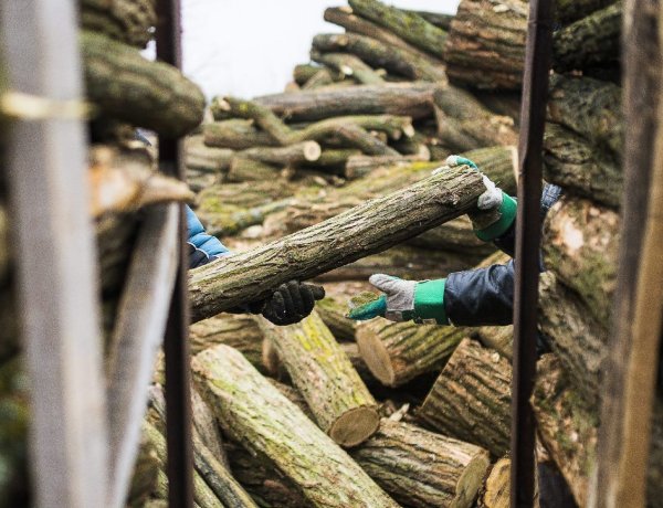 Több mint 1500 köbméter tűzifára pályázhatnak intézmények    