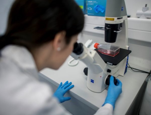 Újraindítás konferencia – A hazai kutatás-fejlesztési rendszer jól működik