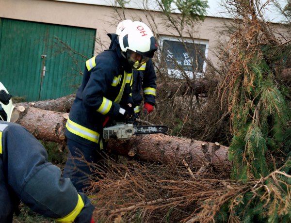 Sérült fák, leszakadt ágak miatt riasztották a megye tűzoltóit