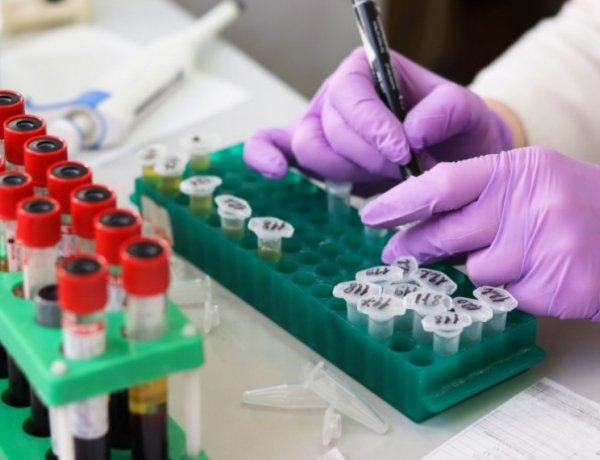 Hazautaztak a Rákóczi Szövetség táborából a fertőzöttekkel érintkezők