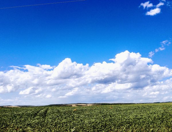 Újra kánikula várható, hétvégén azonban akár tíz fokkal is hűvösebb lehet