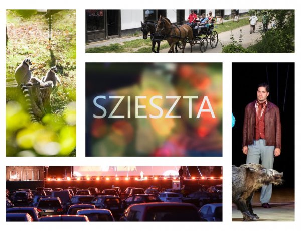 Szieszta – Pezseg az élet az állatparkban, 50 éves a múzeumfalu, autósmozi Nyíregyházán