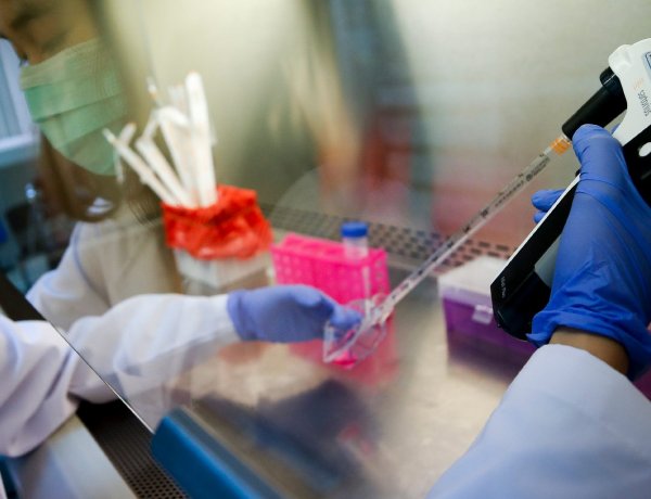 WHO: 2021 közepére széles körben elérhető lehet az oltóanyag