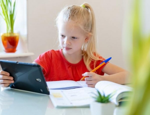 Digitális oktatás – A koronavírus-járvány miatt újra otthonról tanulhatnak a diákok