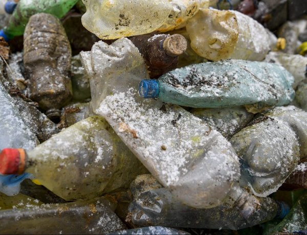 Elindul a Tisztítsuk meg az Országot! projekt – A HulladékRadar is segít