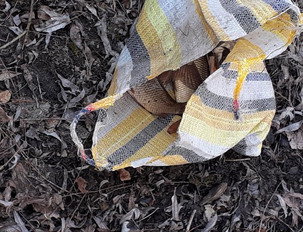 Megyei Főügyészség: orvhalászott, majd a kifogott halakat meg is kínozta