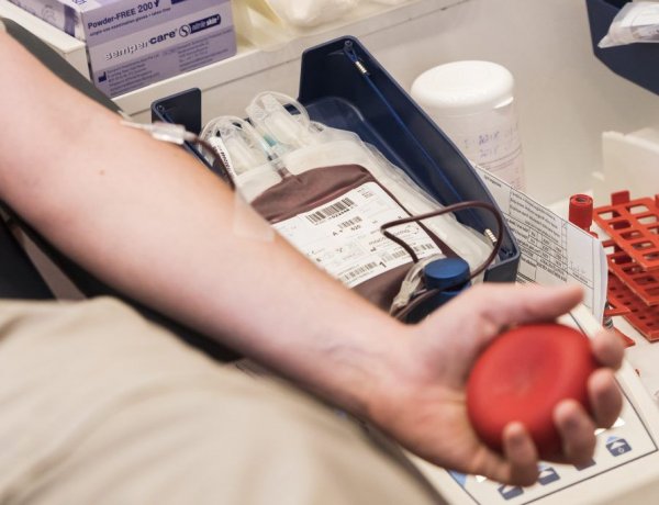 Nyári véradókampány – Fontos az önkéntesek rendszeres segítsége