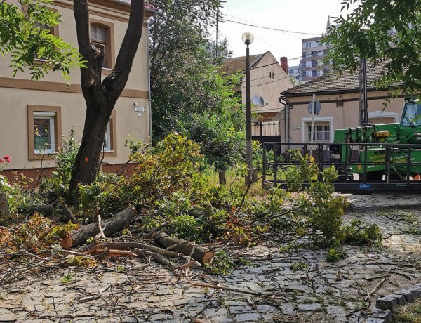 Csütörtökön és pénteken részlegesen lezárja a NYÍRVV a Búza téri parkolókat