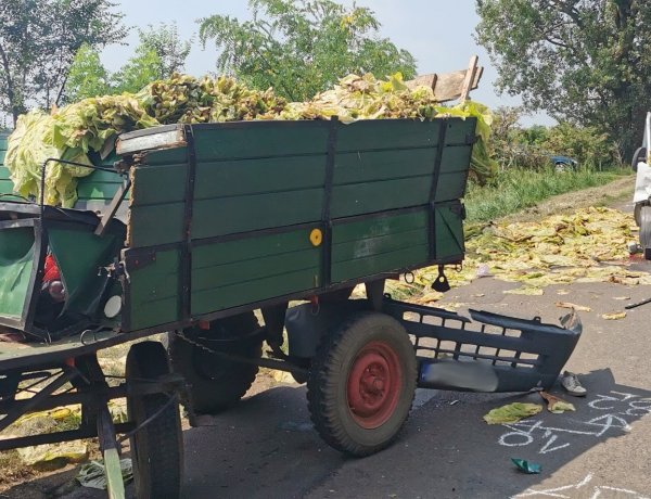 Lovaskocsival ütközött egy jármű Újfehértónál, az állat elpusztult, ketten megsérültek