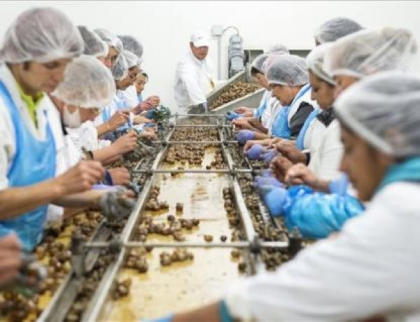 Gulyás: A magyar gazdaság kellően erős ahhoz, hogy a kormány állja az ígéretét