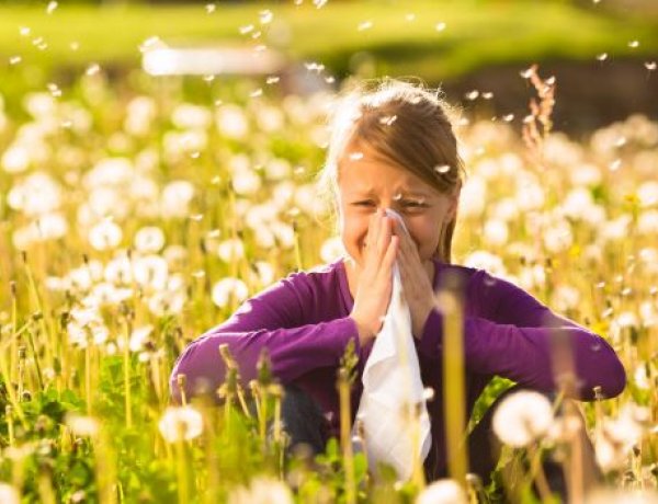 Nehéz időszak vár az allergiásokra:  várhatóan magas lesz a parlagfű pollenkoncentrációja