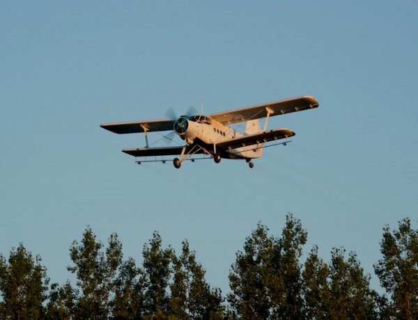 Augusztus 10-én ismét légi szúnyoggyérítésre kerül sor Nyíregyháza belterületén