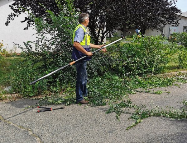 A lakó-pihenő övezetek fáit vágják és ritkítják a NYÍRVV szakemberei Örökösföldön