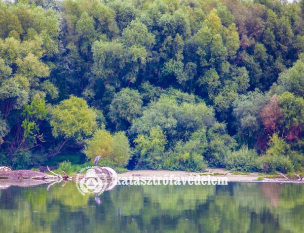 650 településen, 130 ezer hektár területen folytatódik a szúnyogirtás