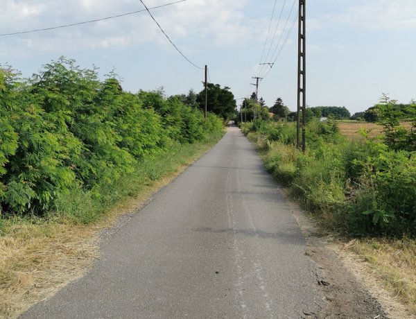 Útszélesítési munkákat végeznek a Rozmaring utcán a NYÍRVV munkatársai