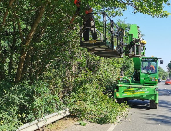 Gallyazási munkálatokat végeznek a NYÍRVV munkatársai a Sóstói úton